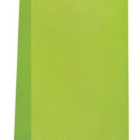 lime green paper party bags