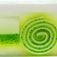 Lime & Dandy Soap