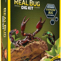 National Geographic Real Bug Dig Kit