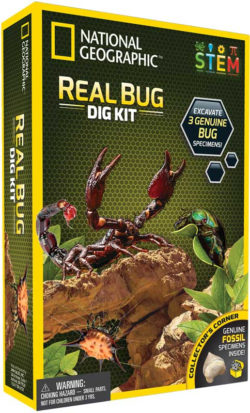 National Geographic Real Bug Dig Kit