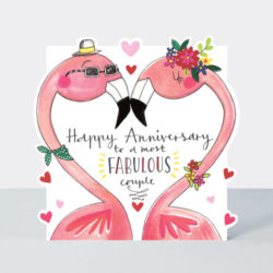 ANNIVERSARY – FLAMINGOS