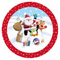 Cute Collection Christmas Plates